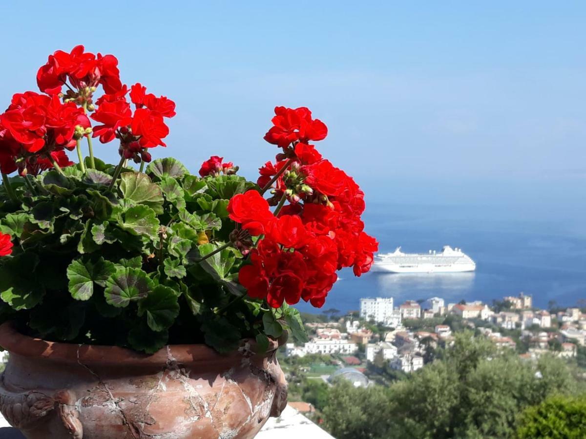 Le Muse Suite Sorrento Ngoại thất bức ảnh