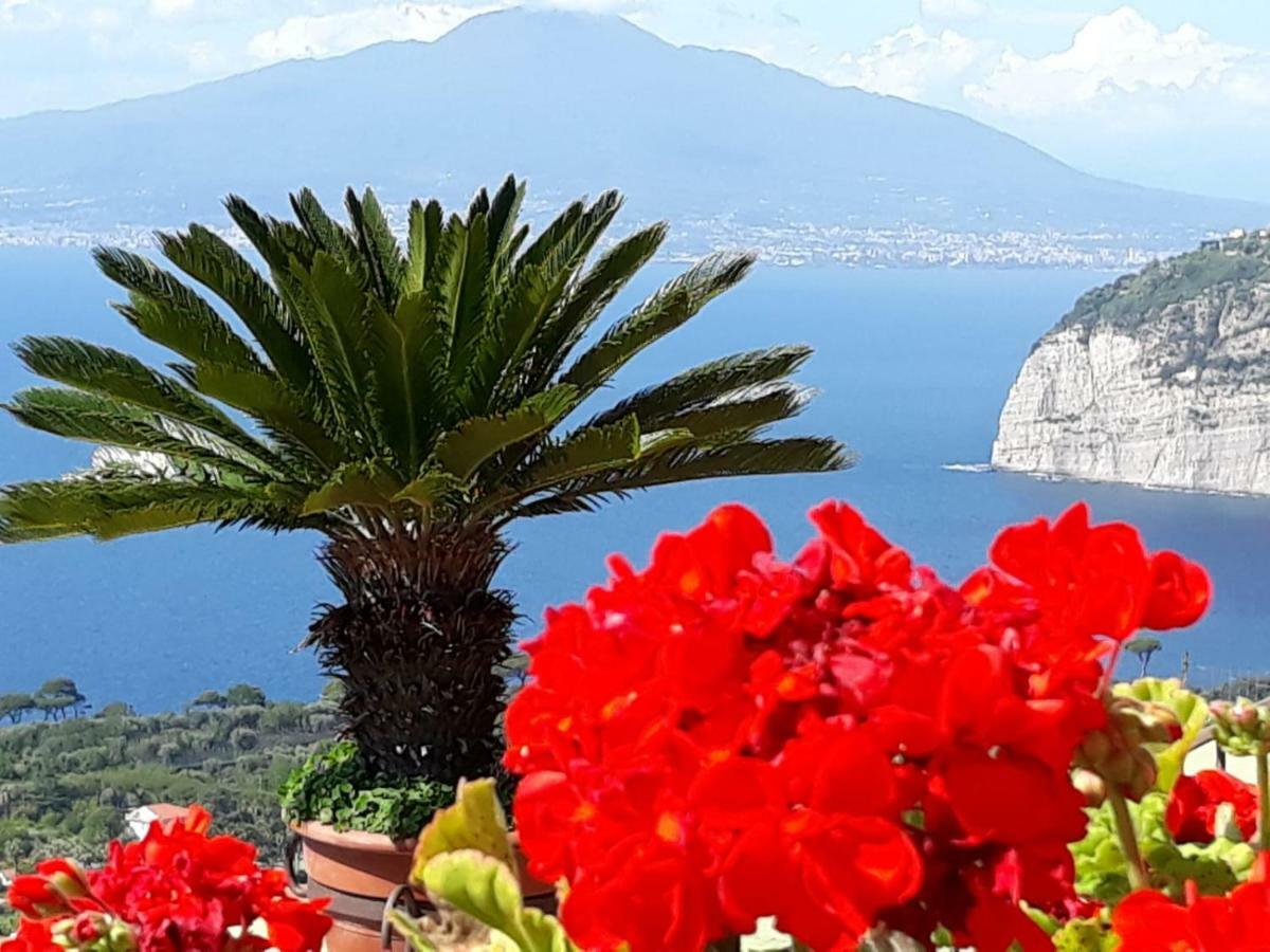 Le Muse Suite Sorrento Ngoại thất bức ảnh